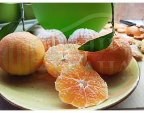 РЕЦЕПТИ С МАНДАРИНИ