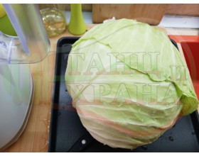 РЕЦЕПТИ ЗА ПЮРЕТА